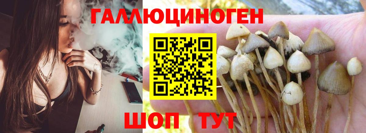 Псилоцибиновые грибы мицелий Саров